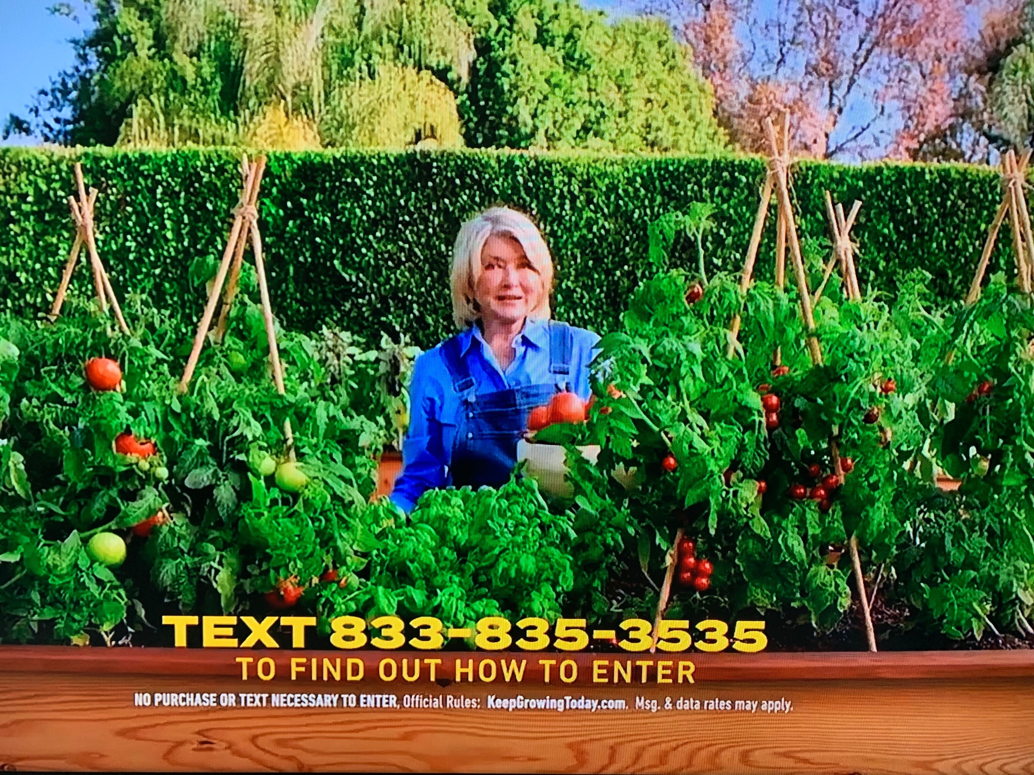 Long Code Scotts | Miracle-Gro text messaging